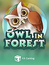 owl-in-forest
