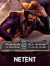 Dead or Alive 2 Feature Buy