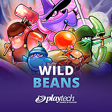 wild-beans