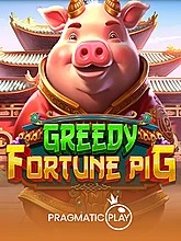 greedy-fortune-pig