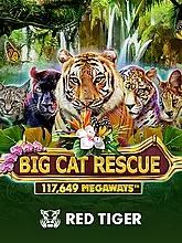 Big Cat Rescue Megaways